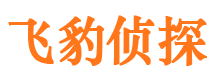 重庆市调查公司